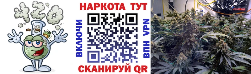 Продажа наркотиков Камышин ГАШИШ Кокаин СК Каннабис АМФЕТАМИН Мефедрон