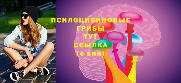стаф Алексеевка
