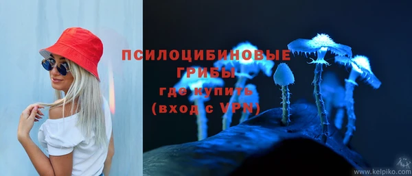 spice Алзамай