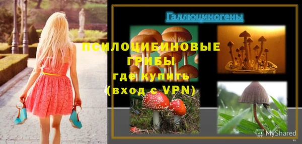 стаф Алексеевка