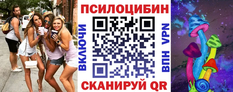 Псилоцибиновые грибы Psilocybe Камышин