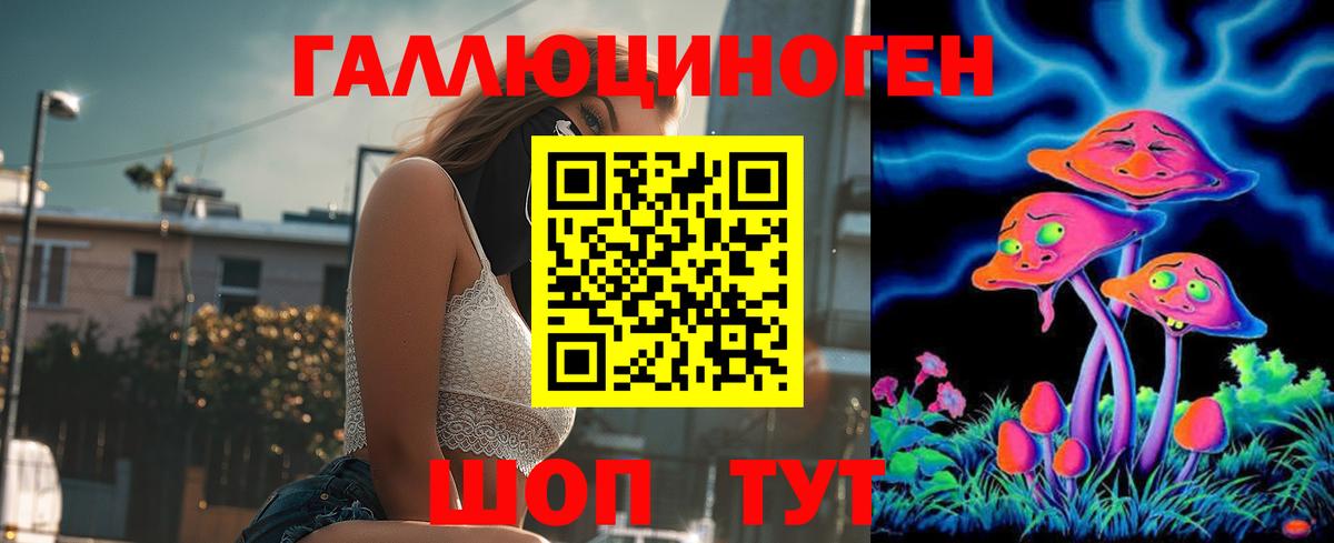 Галлюциногенные грибы GOLDEN TEACHER Камышин