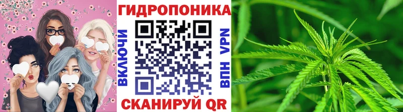 Бошки марихуана гибрид  Камышин 